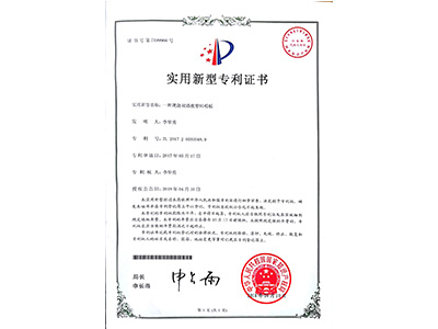 鼎骏一种现浇双墙板塑料模板实用型证书