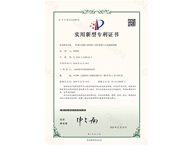 鼎骏一种用于混凝土浇筑的八角框格组合式梁塑料模板实用新型证书